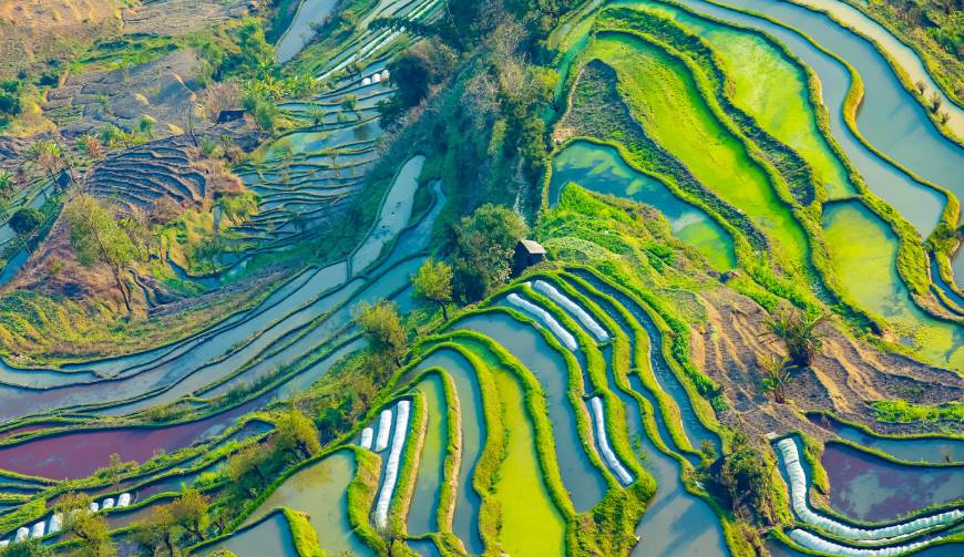 宝妈必备神器：红星区产品视频拍摄轻松育儿好帮手