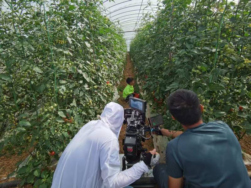 红星区产品宣传视频拍摄公司进阶指南，助力品牌抢占传播高地